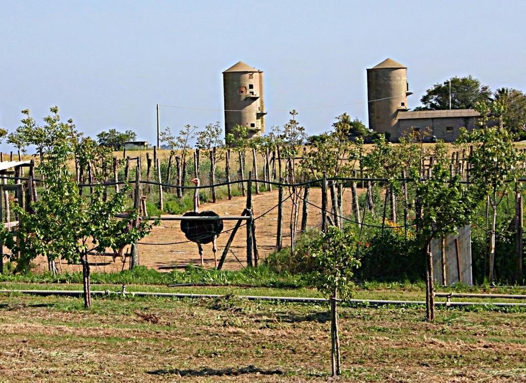 פשיה רומנה B&B Corte Degli Struzzi מראה חיצוני תמונה
